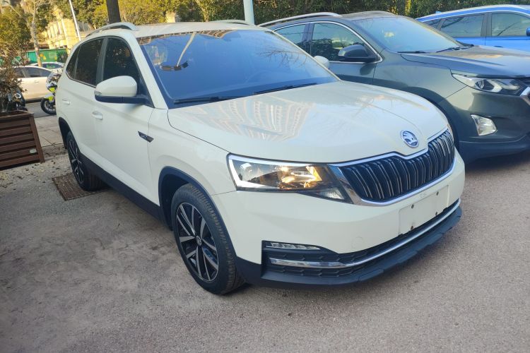 Skoda Kamiq 2020 car image #4