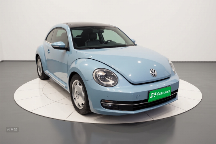 Volkswagen Beetle 2014 immagine di auto #4