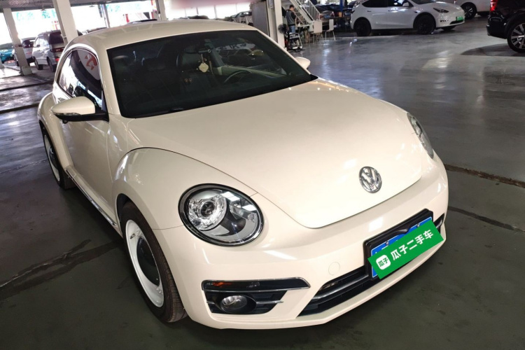 Volkswagen Beetle 2019 immagine di auto #4