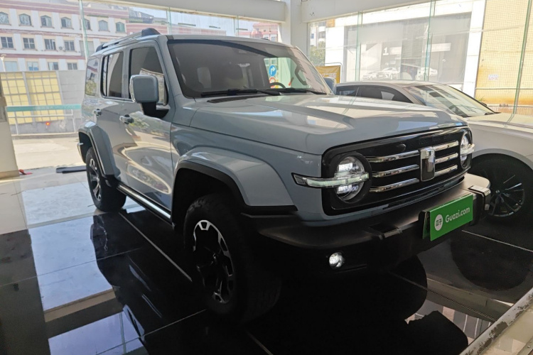 Tank 300 New Energy 2024 car image #4