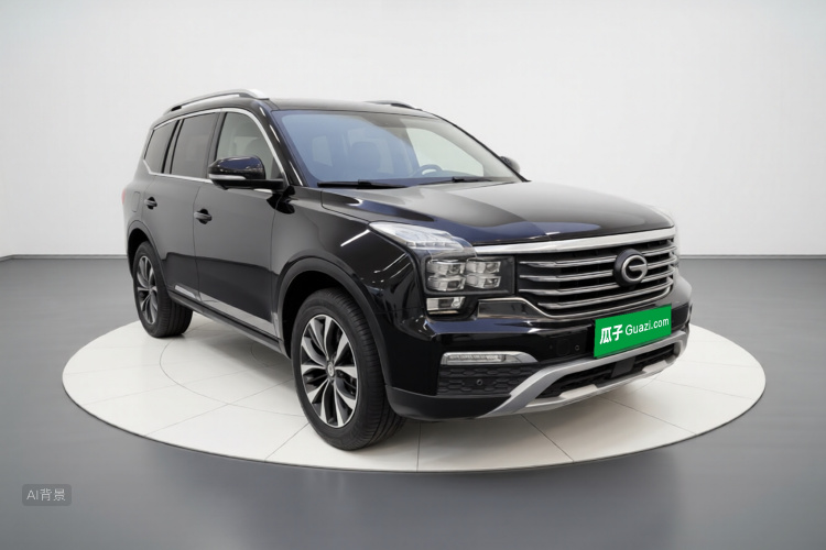 GAC Trumpchi GS8 2019 car image #4