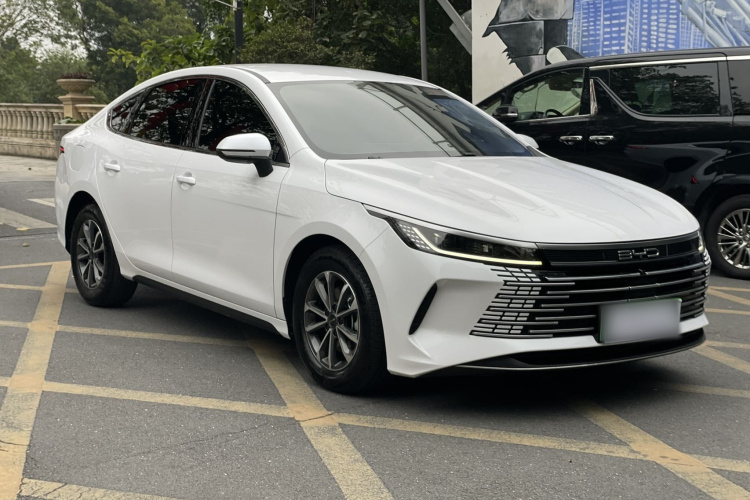 BYD Destroyer 05 2024 car image #4