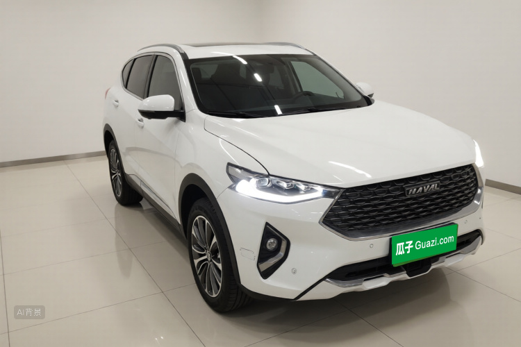 Haval F7 2019 car image #4