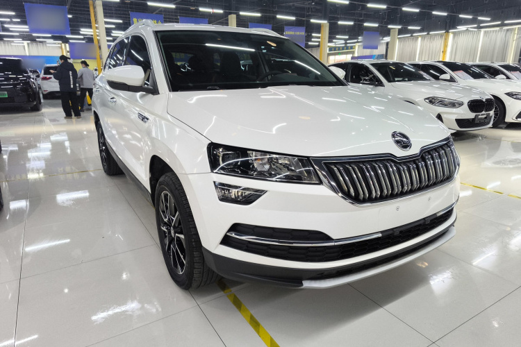 Skoda Karoq 2020 car image #4
