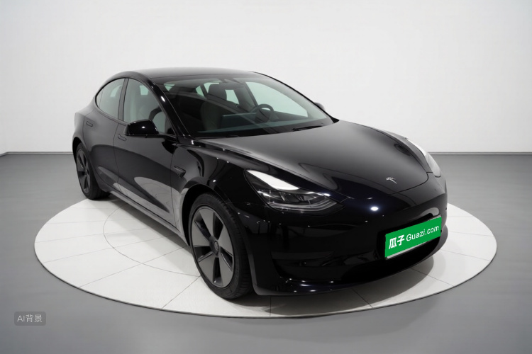 Tesla Model 3 2021 car image #4