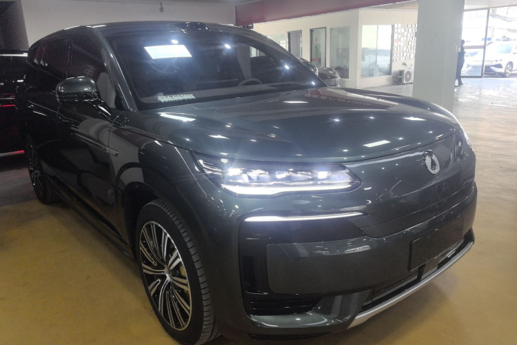 Denza N9 2025 immagine di auto #4