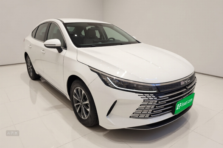 BYD Destroyer 05 2025 car image #4
