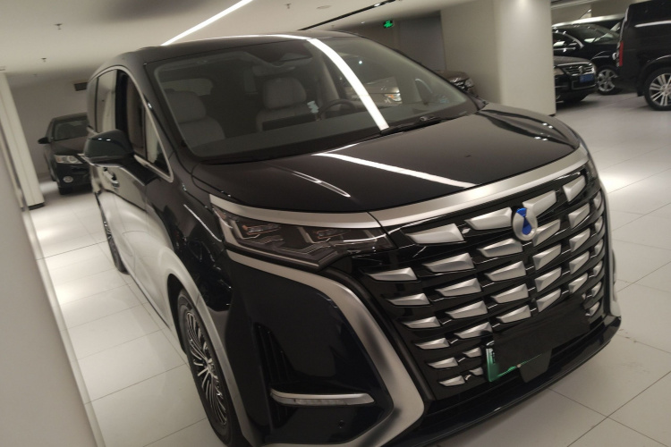 腾势 腾势D9 2023 汽车图片 #4