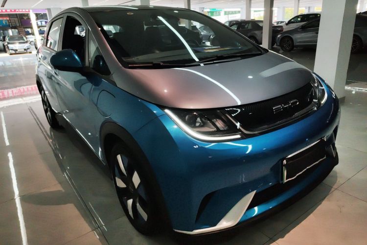 BYD Dolphin 2024 car image #4