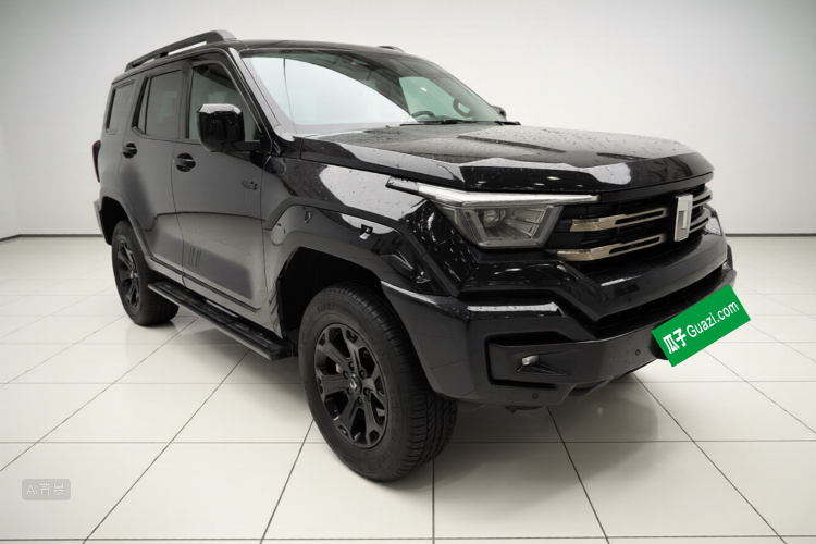 Tank 400 New Energy 2024 car image #4