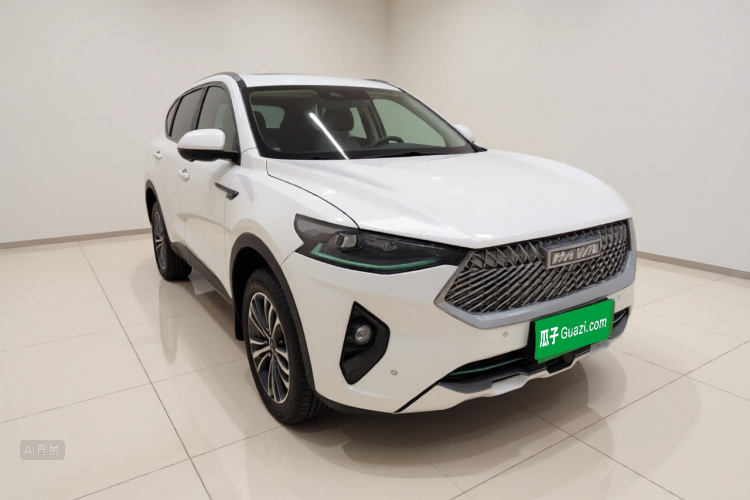 Haval F7 2020 car image #4