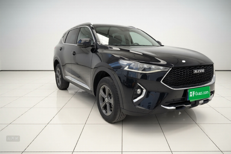 Haval F7 2019 car image #4