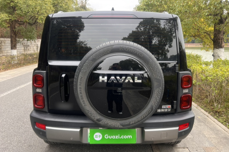 Haval Raptor New Energy 2023 car image #4