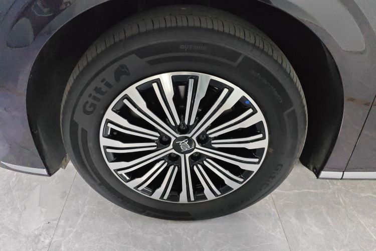 BYD Xia 2025 imagen de coche #4