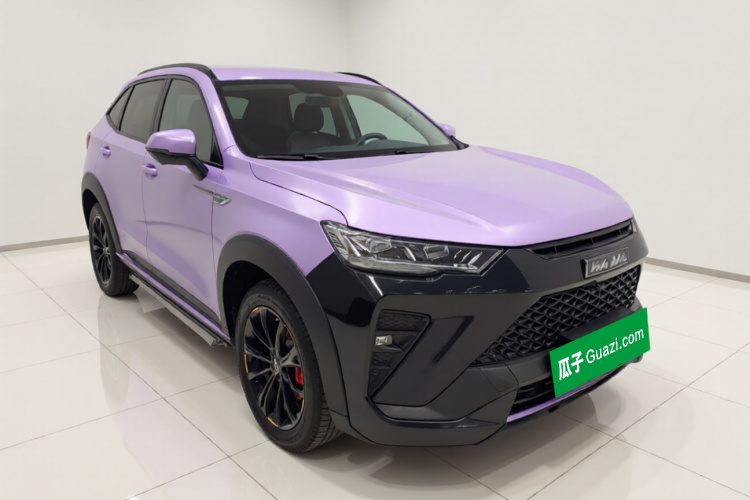 Haval H6S 2022 immagine di auto #4