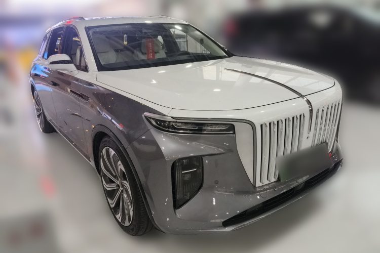 HongQi E-HS9 2023 car image #4