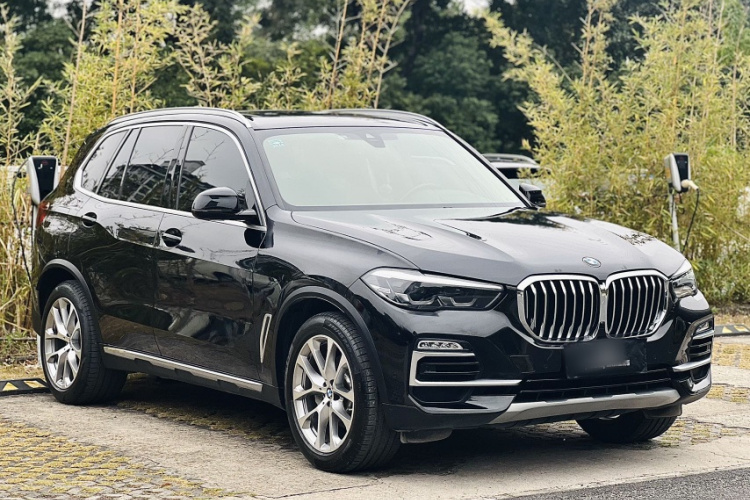 BMW X5 (Imported) 2022 car image #4