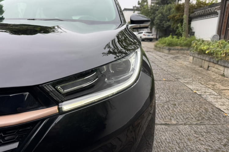 Exceed TX 2022 car image #4