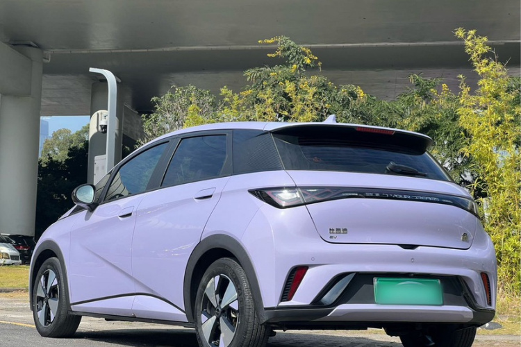 BYD Dolphin 2023 car image #4