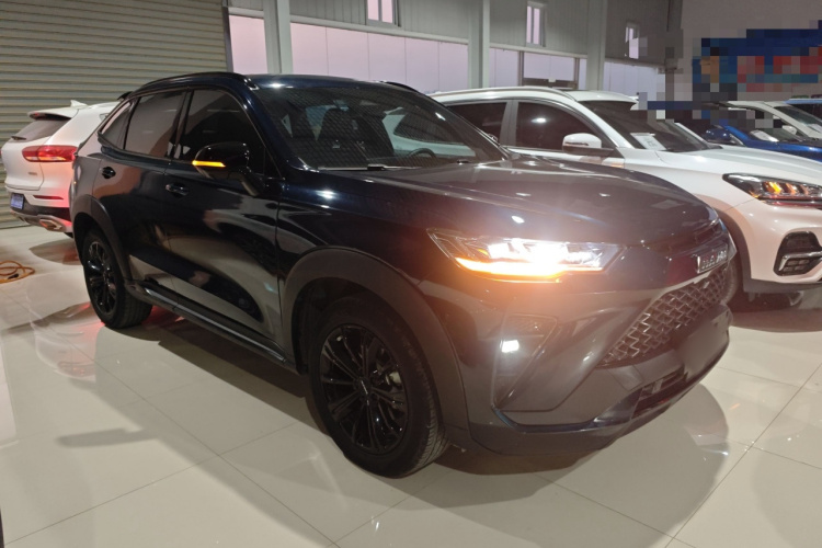 Haval H6S 2022 immagine di auto #4