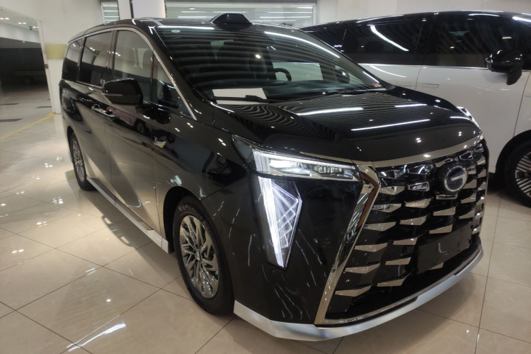 GAC Trumpchi Xiangwang M8 2025 car image #4