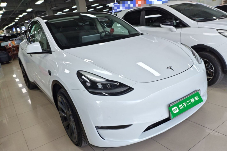 Tesla Model Y 2021 car image #4