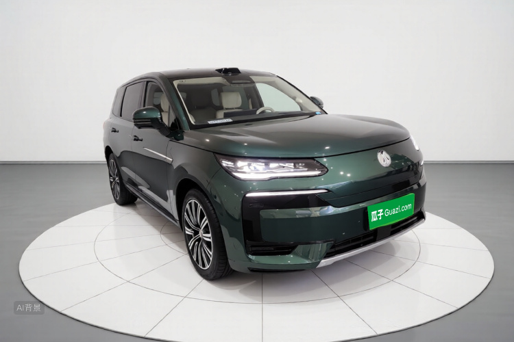 Denza N9 2025 immagine di auto #4