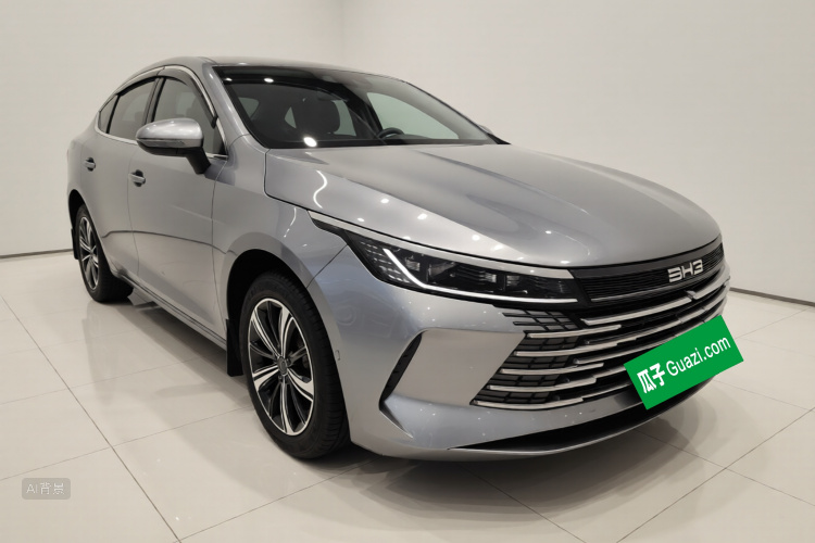 BYD Destroyer 05 2024 imagem de carro #4