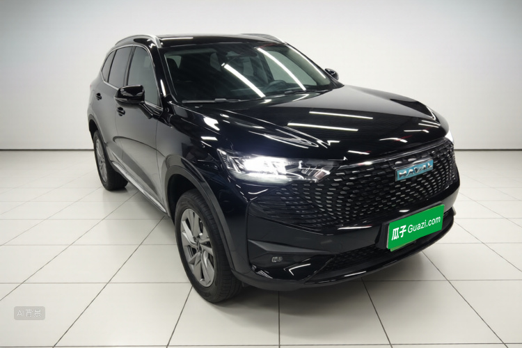 Haval H6 2022 car image #4