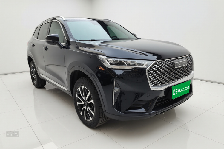 Haval H6 2021 car image #4