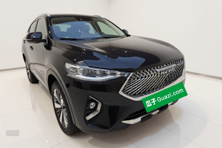 Haval F7x 2021 immagine di auto #4