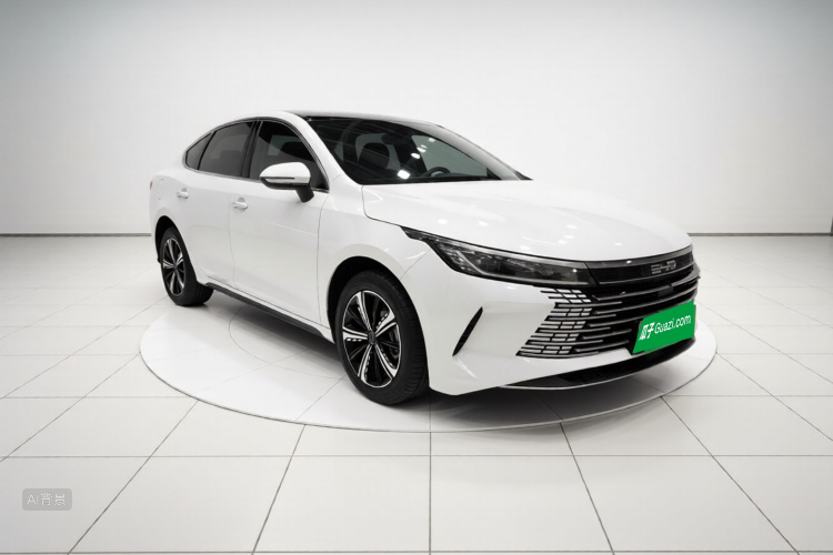 比亚迪 驱逐舰05 2024 汽车图片 #4