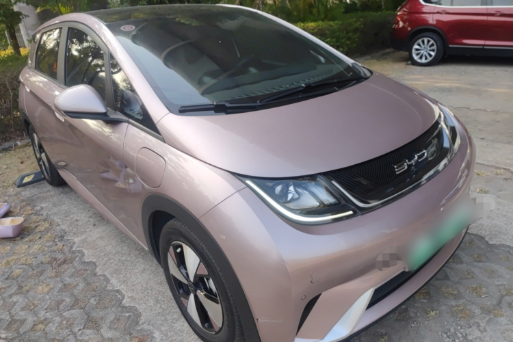 BYD Dolphin 2023 car image #4