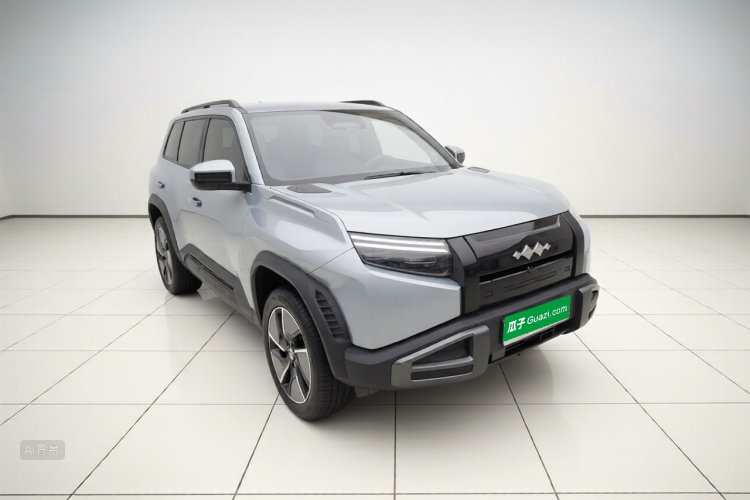 FangChengBao Tiger 3 2025 car image #4