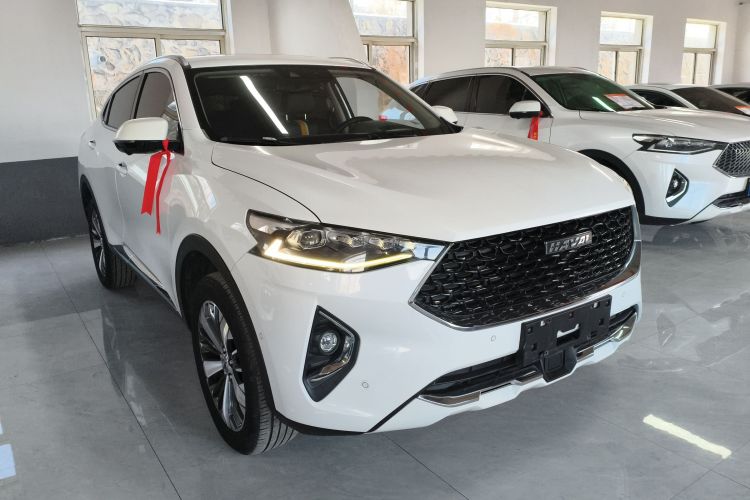 Haval F7x 2020 car image #4