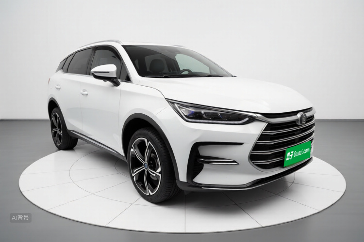 BYD Tang New Energy 2021 car image #4