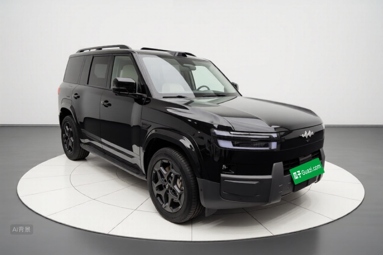 FangChengBao Tiger 7 2025 car image #4