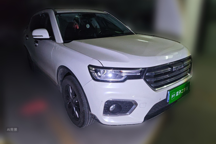 Haval H7 2021 car image #4
