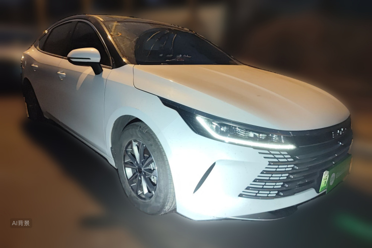 BYD Destroyer 05 2024 car image #4