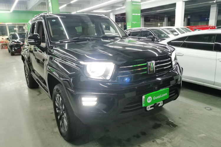 Tank 700 New Energy 2024 car image #4