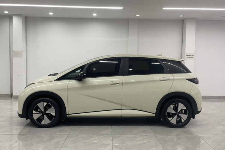 BYD Dolphin 2023 car image #4