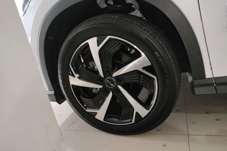 BYD Sea Lion 05 DM-i 2025 image de voiture #4