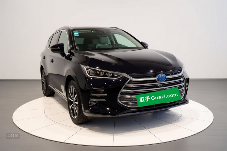 BYD Tang New Energy 2018 car image #4