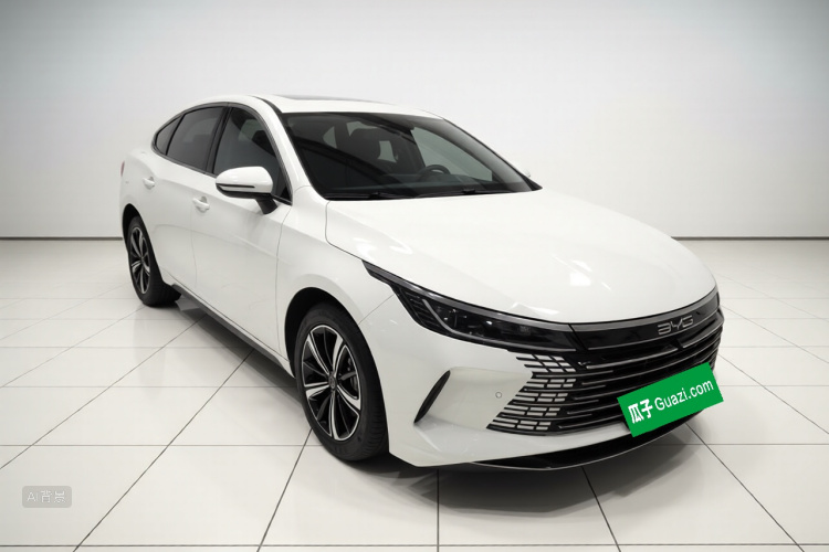 BYD Destroyer 05 2023 car image #4