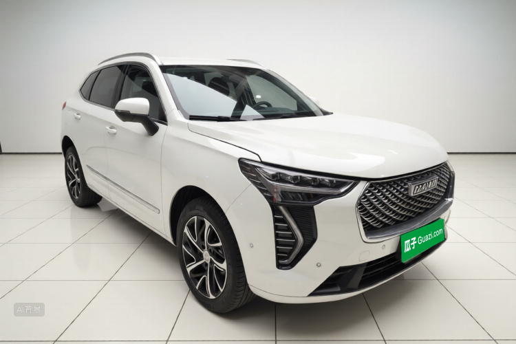 Haval Jolion 2021 car image #4