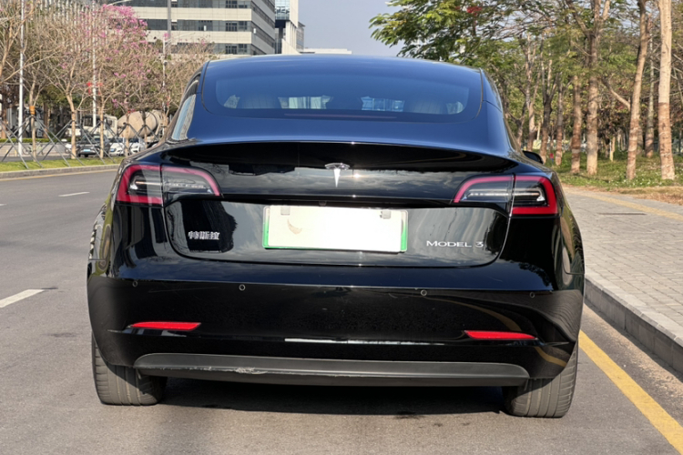 Tesla Model 3 2020 car image #4