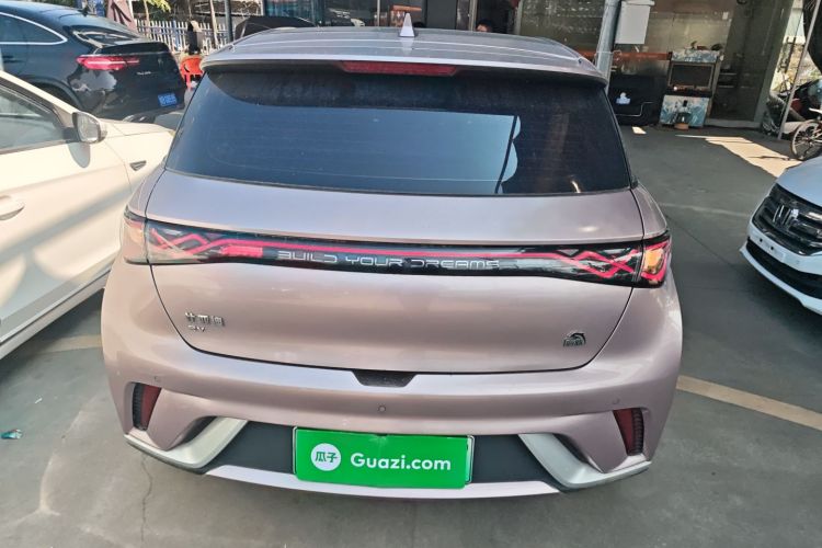 BYD Dolphin 2022 #4 BYD Dolphin 2022 car image #4