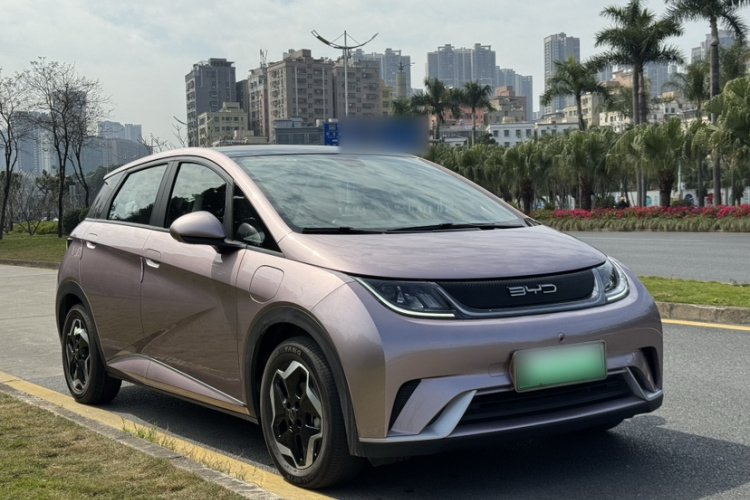 BYD Dolphin 2023 car image #4