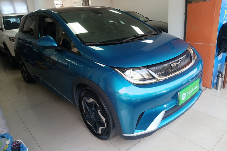 BYD Dolphin 2022 #4 BYD Dolphin 2022 car image #4