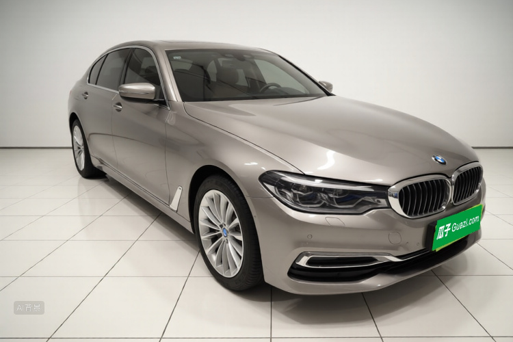 BMW 5 Series New Energy 2020 car image #4